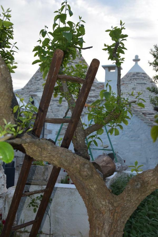 Trulli Di Una Volta Αλμπερομπέλο Εξωτερικό φωτογραφία